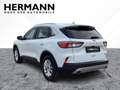 Ford Kuga 2.5 Duratec PHEV Titanium AHK*CAM*LED*NAVI Blanc - thumbnail 3