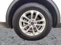 Ford Kuga 2.5 Duratec PHEV Titanium AHK*CAM*LED*NAVI Blanc - thumbnail 12