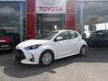 Toyota Yaris 116h Dynamic Business Affaire MY22 + Programme Toy Blanc - thumbnail 2