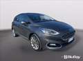 Ford Fiesta 1.0 Ecoboost 100 CV 5 porte Vignale Grigio - thumbnail 3