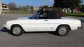 Alfa Romeo Spider 2.0 Veloce Duetto Bianco - thumbnail 6