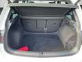Volkswagen Tiguan R-Line 2.0 TDI DSG 4MOTION RFK PANO HEAD- Weiß - thumbnail 15