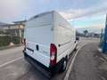 Citroen Jumper 35 BlueHDi 140 S&S PLM-SL-TA Furgone Heavy Blanc - thumbnail 5
