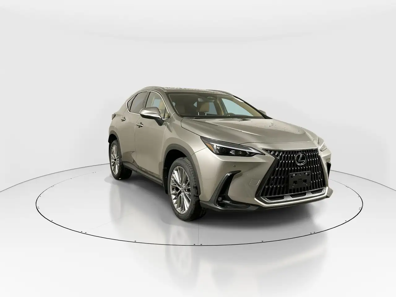 2026 Lexus NX