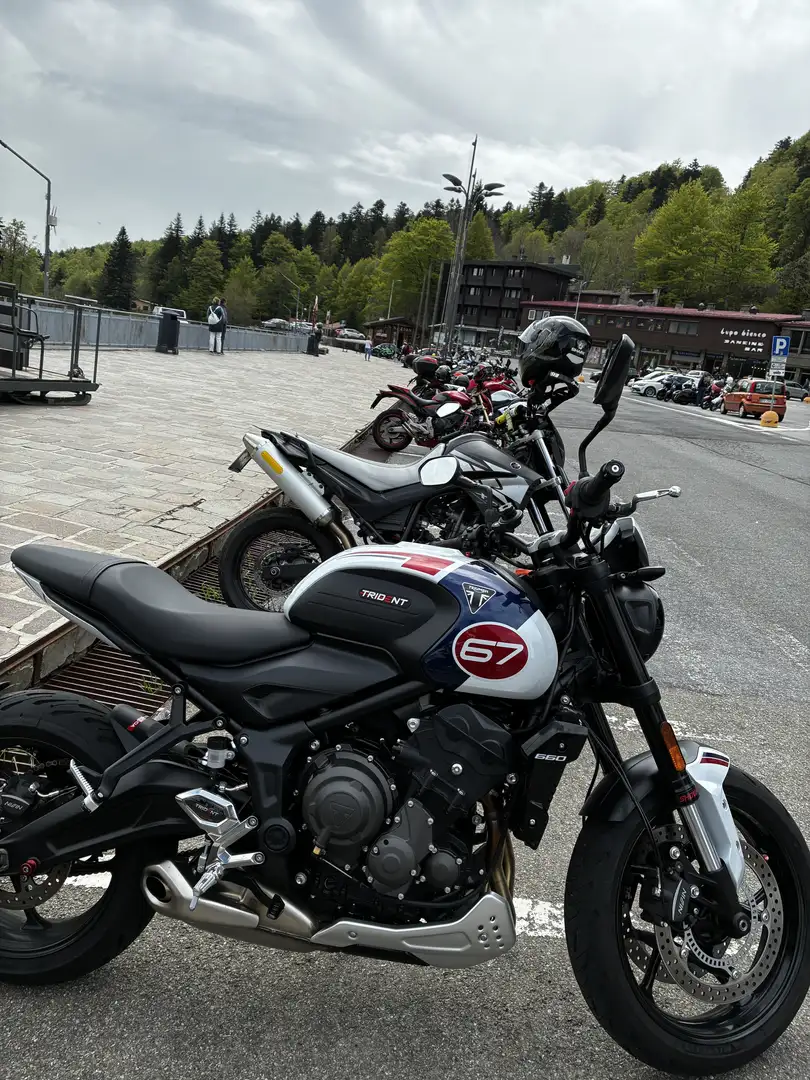 Triumph Trident 660 Triple tribute - 2