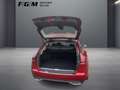 Mercedes-Benz C 180 T Avantgarde Sitzhz|EASY-PACK|Kam|Keyless Rojo - thumbnail 5