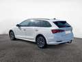 Skoda Octavia Combi 1.5 TSI Ambition|NAVI|SHZ|ACC|PDC Weiß - thumbnail 4