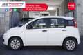 Fiat Panda FIAT Panda 1.2 City Cross 51KW ANNO 2019 Bianco - thumbnail 4