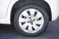 Fiat Panda FIAT Panda 1.2 City Cross 51KW ANNO 2019 Bianco - thumbnail 5