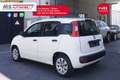 Fiat Panda FIAT Panda 1.2 City Cross 51KW ANNO 2019 Bianco - thumbnail 15