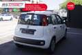 Fiat Panda FIAT Panda 1.2 City Cross 51KW ANNO 2019 Bianco - thumbnail 13