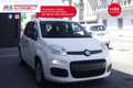 Fiat Panda FIAT Panda 1.2 City Cross 51KW ANNO 2019 Bianco - thumbnail 1