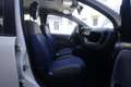 Fiat Panda FIAT Panda 1.2 City Cross 51KW ANNO 2019 Bianco - thumbnail 10