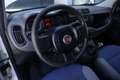 Fiat Panda FIAT Panda 1.2 City Cross 51KW ANNO 2019 Bianco - thumbnail 14
