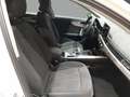 Audi A4 Avant Advanced 30 TDI 100kW S tronic Blanco - thumbnail 9