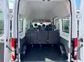 Ford Transit Kombi 350 L2H3 AHK/Standhzg/Kamera/Tempo Weiß - thumbnail 28