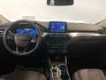 Ford Kuga 2,0 EcoBlue AWD Titanium X Aut. Blau - thumbnail 9