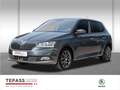 Skoda Fabia 1.0l TSI Style NAVI PDC ACC Grau - thumbnail 1