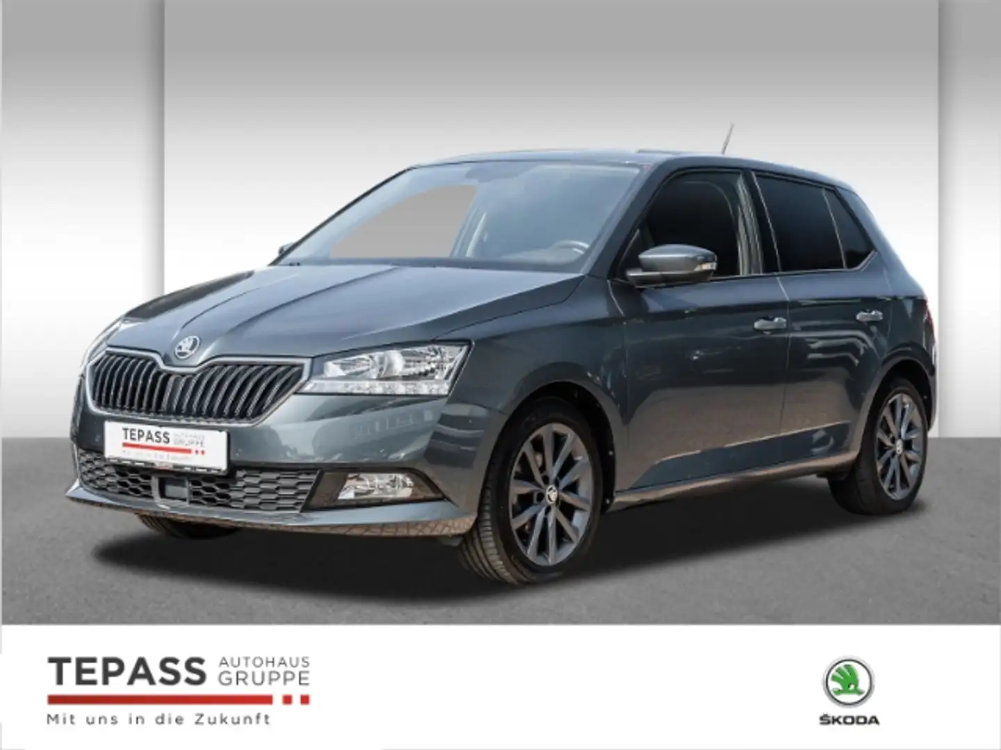 Skoda Fabia 1.0l TSI Style NAVI PDC ACC Grau - 1