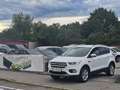 Ford Kuga 1,5 EcoBoost Titanium Start/Stop 1-Hand Pickerl... Weiß - thumbnail 7