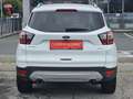 Ford Kuga 1,5 EcoBoost Titanium Start/Stop 1-Hand Pickerl... Weiß - thumbnail 11