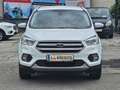 Ford Kuga 1,5 EcoBoost Titanium Start/Stop 1-Hand Pickerl... Weiß - thumbnail 3