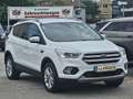 Ford Kuga 1,5 EcoBoost Titanium Start/Stop 1-Hand Pickerl... Weiß - thumbnail 8