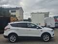 Ford Kuga 1,5 EcoBoost Titanium Start/Stop 1-Hand Pickerl... Weiß - thumbnail 4