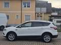 Ford Kuga 1,5 EcoBoost Titanium Start/Stop 1-Hand Pickerl... Weiß - thumbnail 5