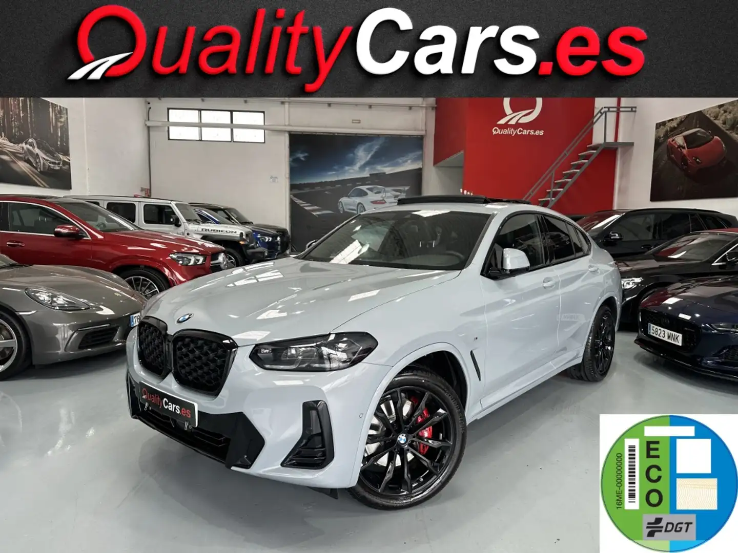 BMW X4 xDrive 20dA xLine Gris - 1