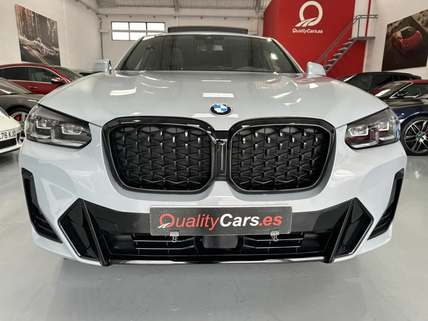 BMW X4 xDrive 20dA xLine Gris - 2