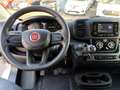 Fiat Ducato Serie 9 35 Multijet 120 L2H2 Kastenwagen Weiß - thumbnail 9