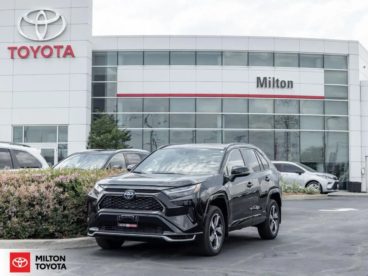 2024 Toyota RAV 4 Prime