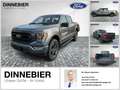 Ford F 150 F-150 XLT Launch Edition 4x4 AHK+360°+LED Grau - thumbnail 1