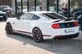 Ford Mustang 5.0 Ti-VCT V8 338kW MACH 1 RECARO White - thumbnail 14