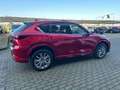 Mazda CX-5 CX-5 2.2 TAKUMI + SUNROOF awd 184cv auto Rosso - thumbnail 6