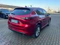 Mazda CX-5 CX-5 2.2 TAKUMI + SUNROOF awd 184cv auto Rosso - thumbnail 7