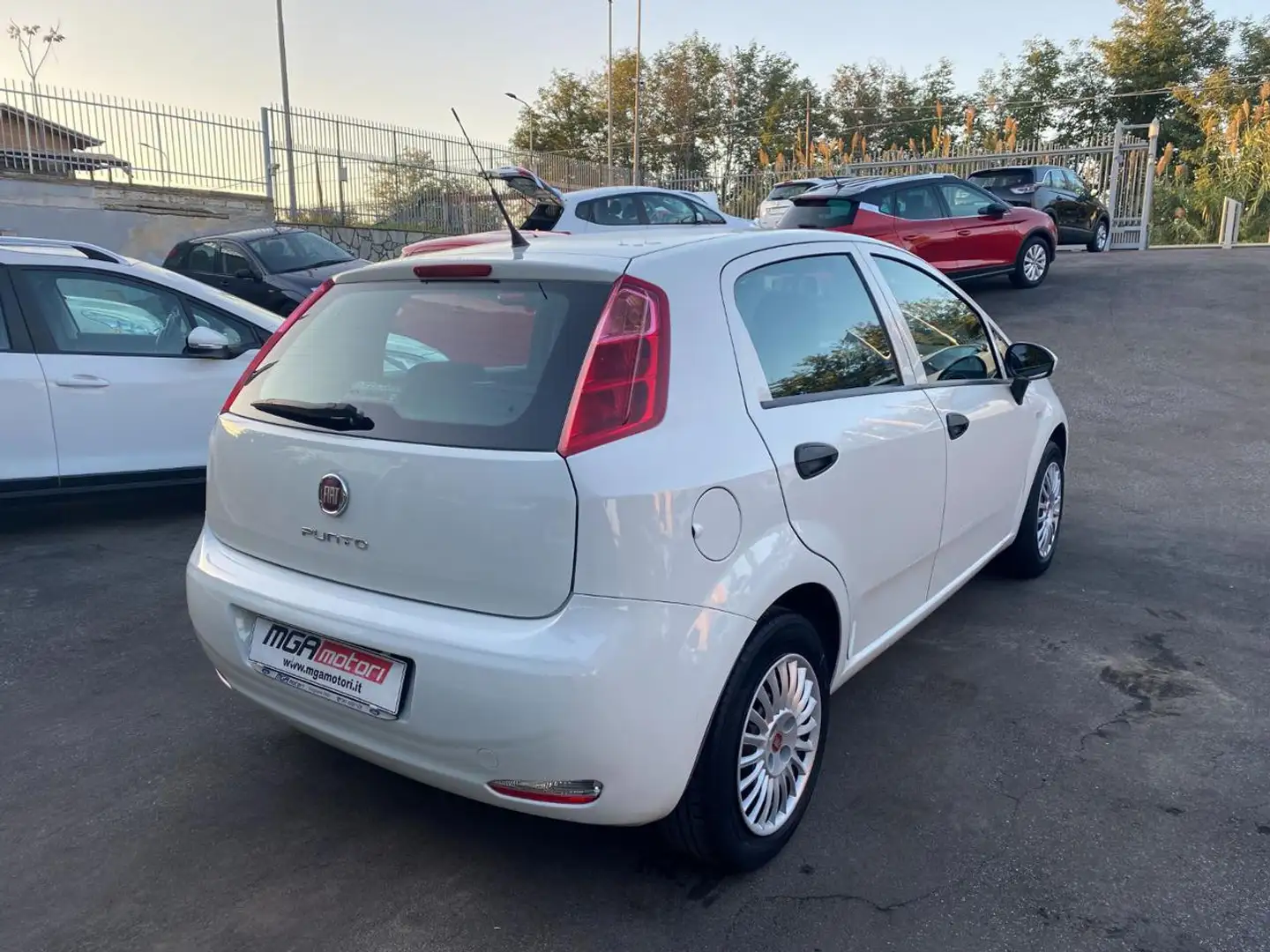 Fiat Punto 1.2 8V 5 porte Street Bianco - 2