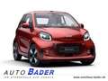 smart forTwo EQ Cabrio Passion Exclusive 22kW Kamera Rouge - thumbnail 1