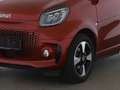 smart forTwo EQ Cabrio Passion Exclusive 22kW Kamera Rouge - thumbnail 5