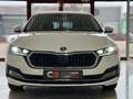 Skoda Octavia Combi 1,5 iV Style DSG, RFK, HUD Weiß - thumbnail 9