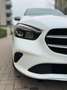 Mercedes-Benz B 250 B -Klasse B 250 4Matic Weiß - thumbnail 4