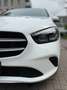 Mercedes-Benz B 250 B -Klasse B 250 4Matic Weiß - thumbnail 5