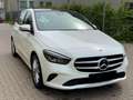 Mercedes-Benz B 250 B -Klasse B 250 4Matic Weiß - thumbnail 1