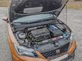 SEAT Leon Seat Leon Cupra R Limited Edition Nr 214 von 799 Grau - thumbnail 12
