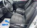 Volkswagen Golf Plus Match*TÜV NEU*GARANTIE*TOP ZUSTAND Weiß - thumbnail 7