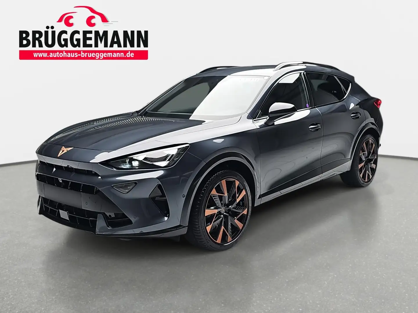 CUPRA Formentor FORMENTOR VZ 2.0 TSI DSG 4DRIVE NAVI LED SENNHEISE Gris - 1