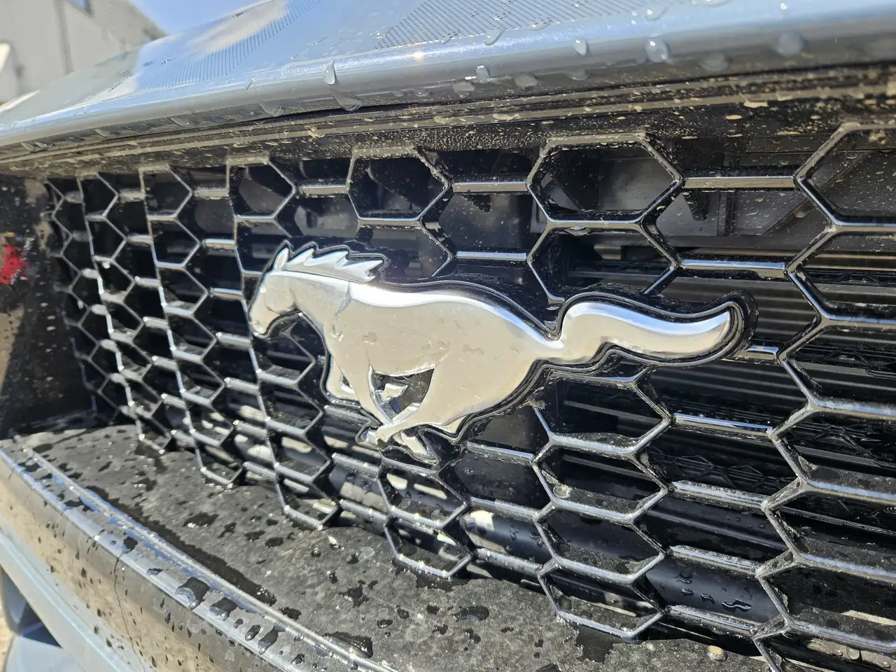Ford Mustang снимка Ford Mustang