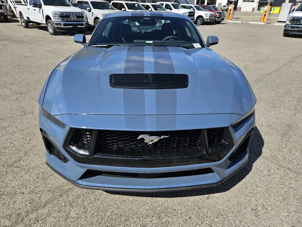 Ford Mustang снимка Ford Mustang