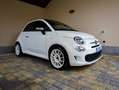Fiat 500 500 1.0 hybrid Rockstar 70cv Bianco - thumbnail 1